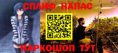 прущие грибы Кулебаки