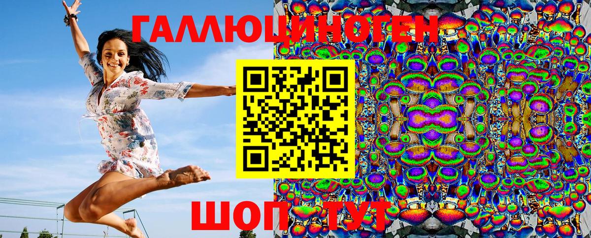 Псилоцибиновые грибы Psilocybine cubensis Зеленокумск