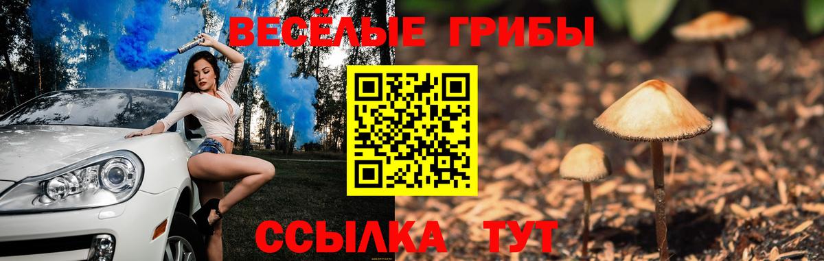 Зеленокумск  Псилоцибиновые грибы Psilocybine cubensis  Вход с VPN 